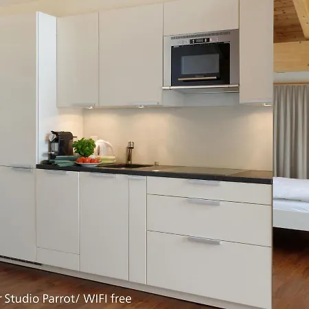 Apartament Zermatt Appartements Zermatt