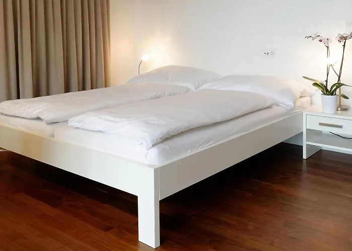 采尔马特公寓 *